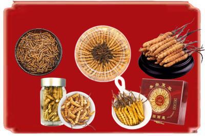 昆明市五华烟酒回收各种虫草.jpg